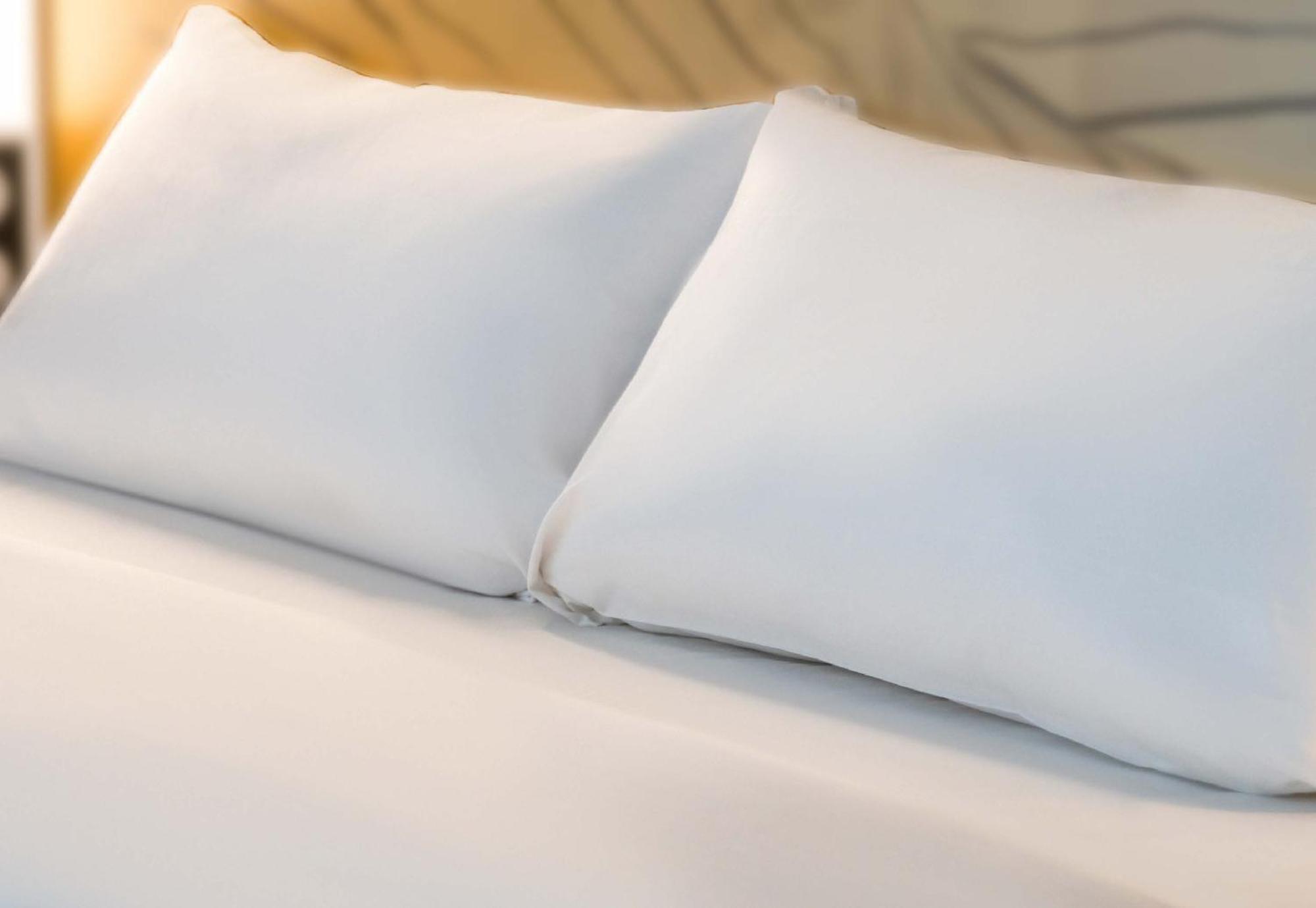 Ibis Grenoble